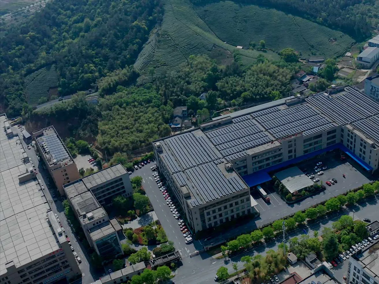Aerial view of the Baizhijia production base in Anji, Zhejiang